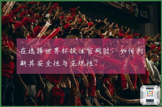 在选择世界杯投注官网时,如何判断其安全性与正规性?
