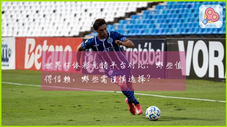世界杯体彩竞猜平台对比：哪些值得信赖，哪些需谨慎选择？