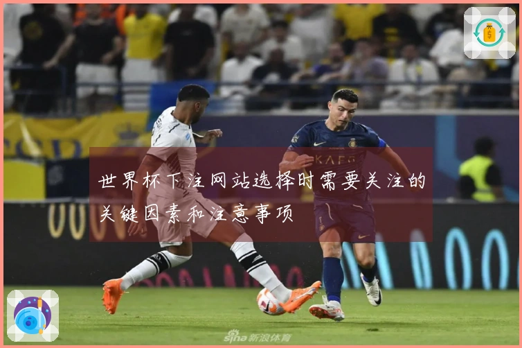 世界杯下注网站选择时需要关注的关键因素和注意事项