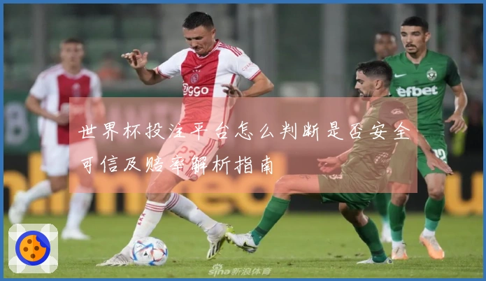 世界杯投注平台怎么判断是否安全可信及赔率解析指南