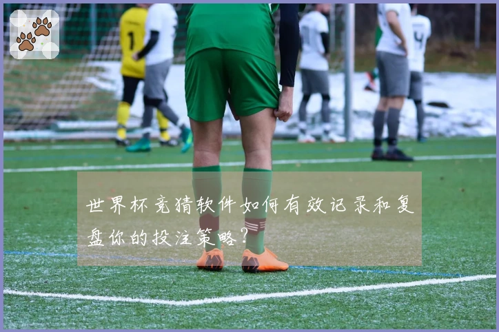 世界杯竞猜软件如何有效记录和复盘你的投注策略？