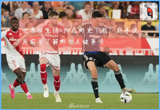 世界杯竞猜app在哪里下载？新手使用前要了解哪些关键事项