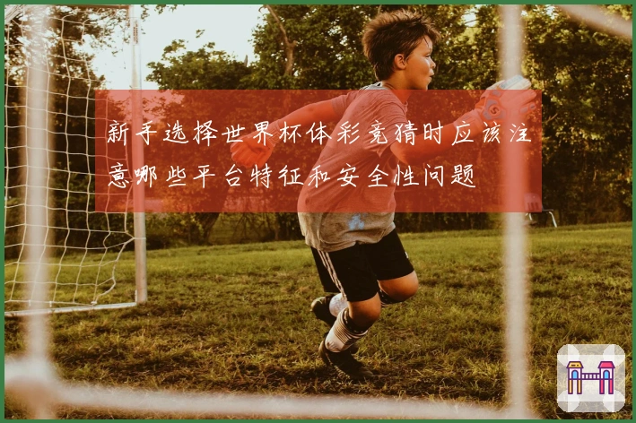 新手选择世界杯体彩竞猜时应该注意哪些平台特征和安全性问题