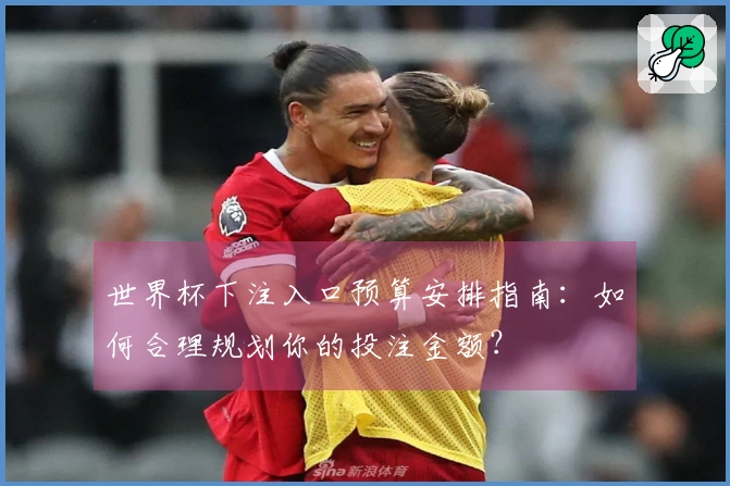世界杯下注入口预算安排指南：如何合理规划你的投注金额？