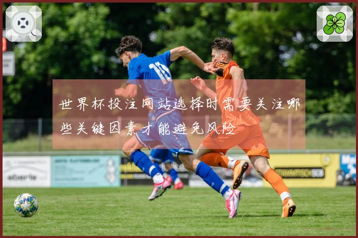 世界杯投注网站选择时需要关注哪些关键因素才能避免风险