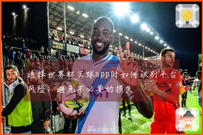 选择世界杯买球app时如何识别平台风险，避免不必要的损失