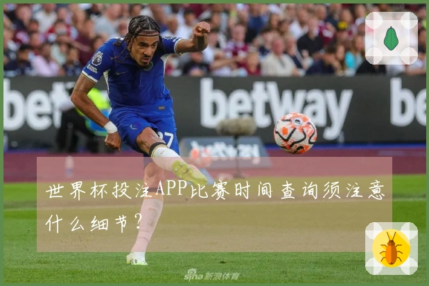 世界杯投注APP比赛时间查询须注意什么细节？