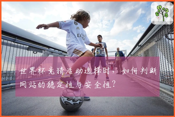 世界杯竞猜活动选择时，如何判断网站的稳定性与安全性？