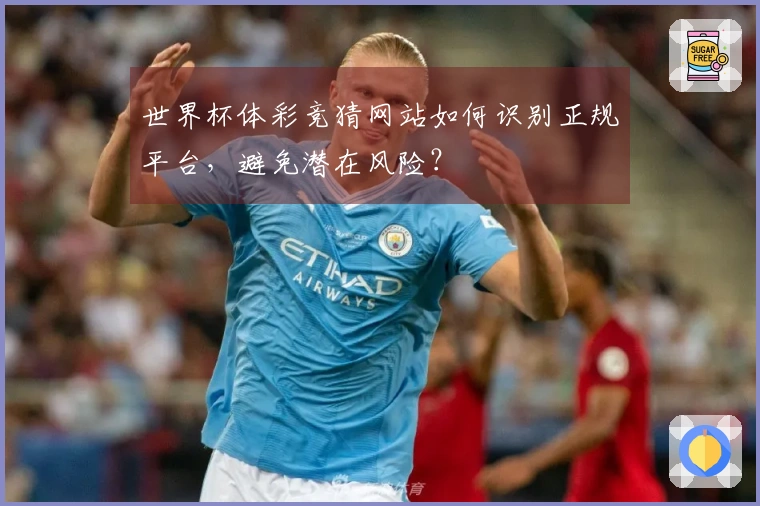 世界杯体彩竞猜网站如何识别正规平台，避免潜在风险？