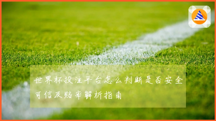 世界杯投注平台怎么判断是否安全可信及赔率解析指南