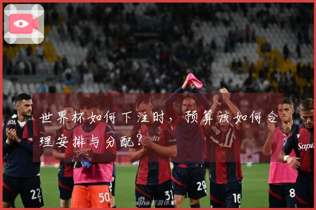 世界杯如何下注时，预算该如何合理安排与分配？