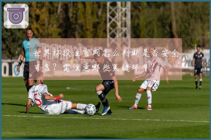 世界杯投注官网怎么判断是否安全可靠？需注意哪些关键环节？