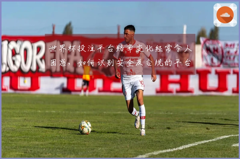 世界杯投注平台赔率变化经常令人困惑，如何识别安全及合规的平台？
