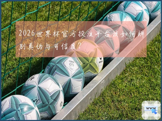 2026世界杯官方投注平台该如何辨别真伪与可信度？