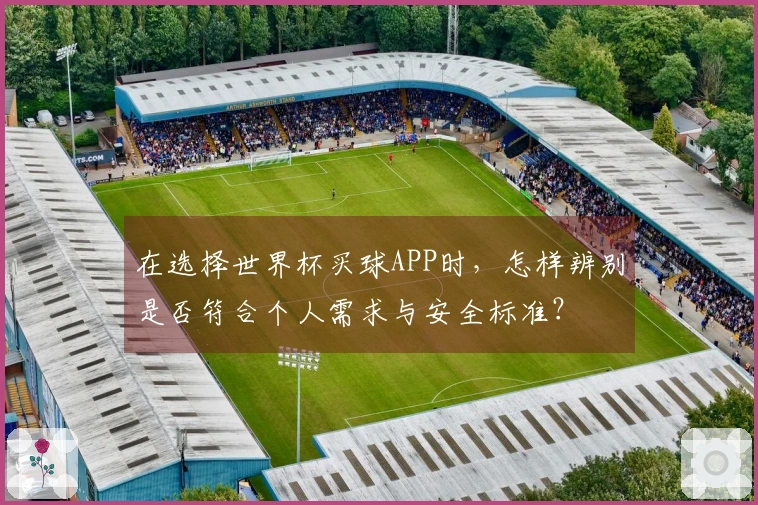 在选择世界杯买球APP时，怎样辨别是否符合个人需求与安全标准？