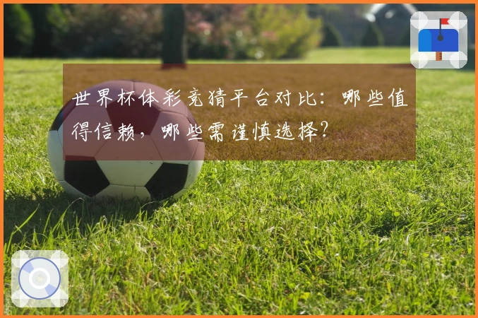 世界杯体彩竞猜平台对比：哪些值得信赖，哪些需谨慎选择？