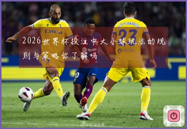 2026世界杯投注中大小球玩法的规则与策略你了解吗