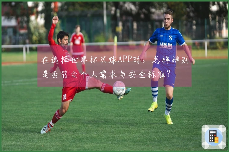 在选择世界杯买球APP时，怎样辨别是否符合个人需求与安全标准？