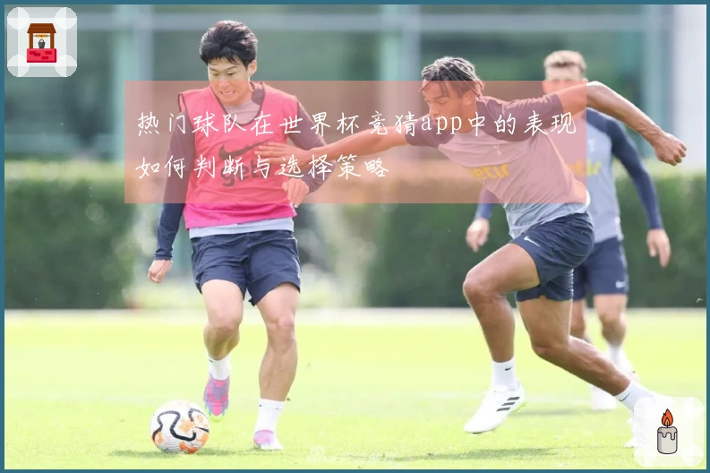热门球队在世界杯竞猜app中的表现如何判断与选择策略