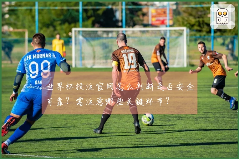 世界杯投注官网怎么判断是否安全可靠？需注意哪些关键环节？