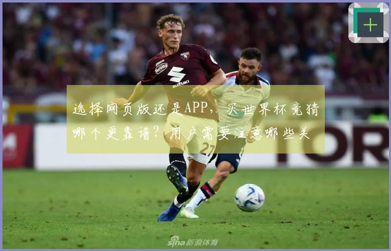选择网页版还是APP，买世界杯竞猜哪个更靠谱？用户需要注意哪些关键问题？