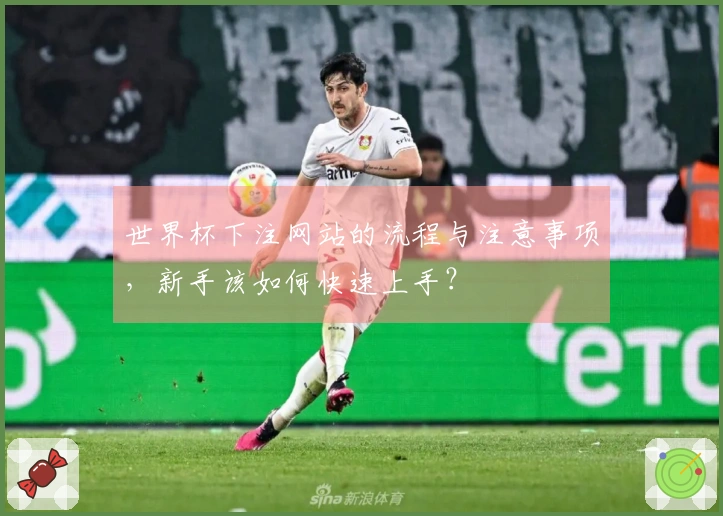 世界杯下注网站的流程与注意事项，新手该如何快速上手？