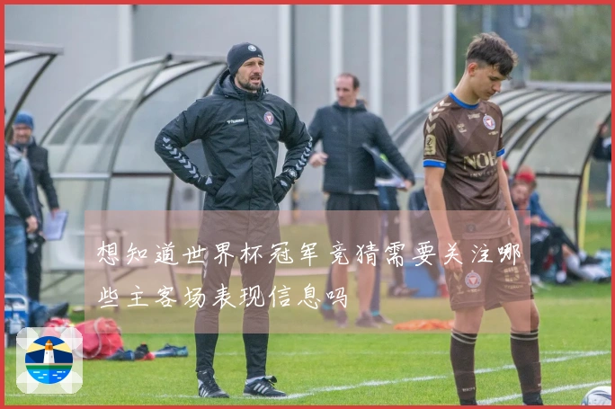 想知道世界杯冠军竞猜需要关注哪些主客场表现信息吗