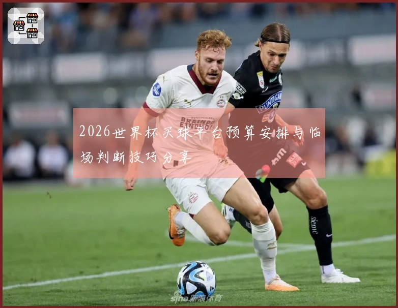 2026世界杯买球平台预算安排与临场判断技巧分享