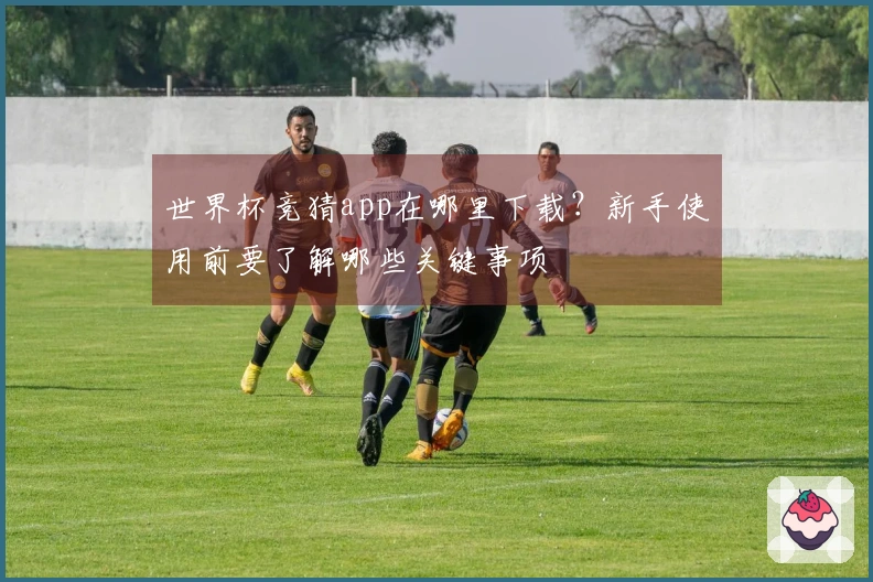 世界杯竞猜app在哪里下载？新手使用前要了解哪些关键事项