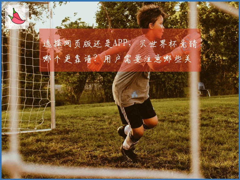 选择网页版还是APP，买世界杯竞猜哪个更靠谱？用户需要注意哪些关键问题？