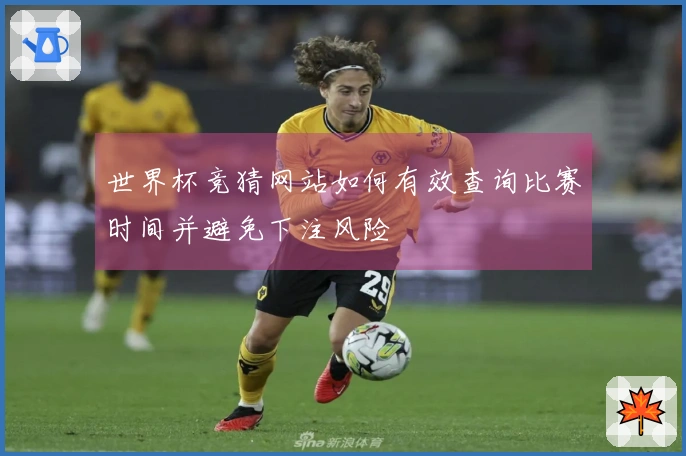 世界杯竞猜网站如何有效查询比赛时间并避免下注风险