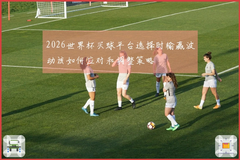 2026世界杯买球平台选择时输赢波动该如何应对和调整策略