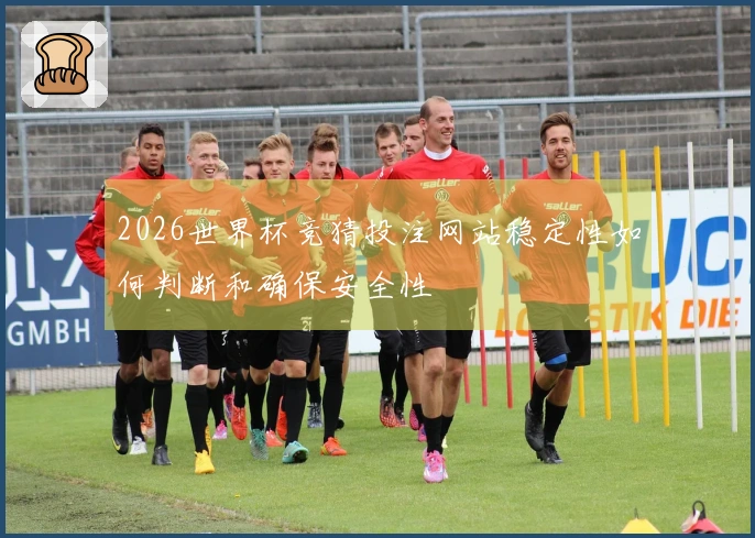 2026世界杯竞猜投注网站稳定性如何判断和确保安全性